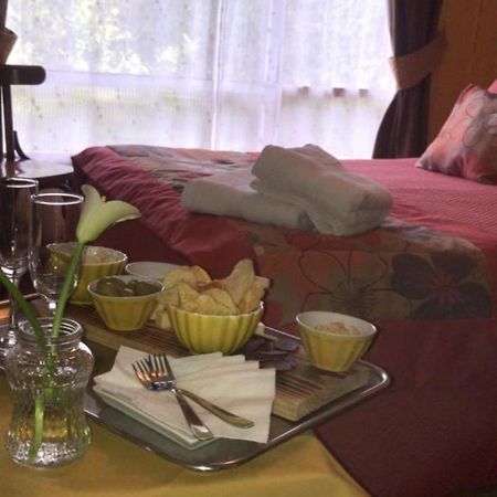Hostal Del Muelle Valdivia Luaran gambar