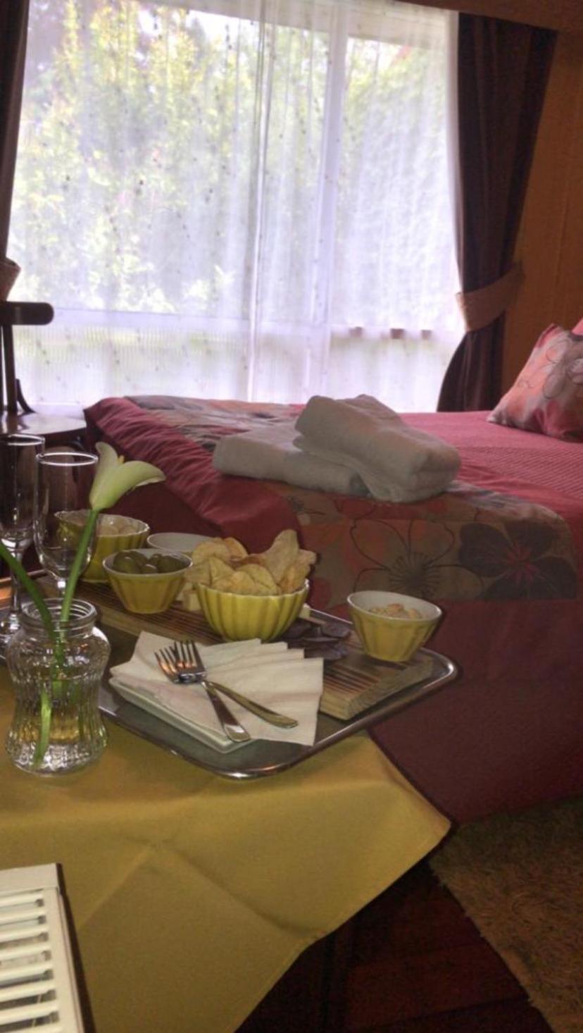 Hostal Del Muelle Valdivia Luaran gambar